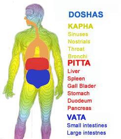 فرادرمانی کپی ناقص و آسیب زا از آیورودا Ayurveda